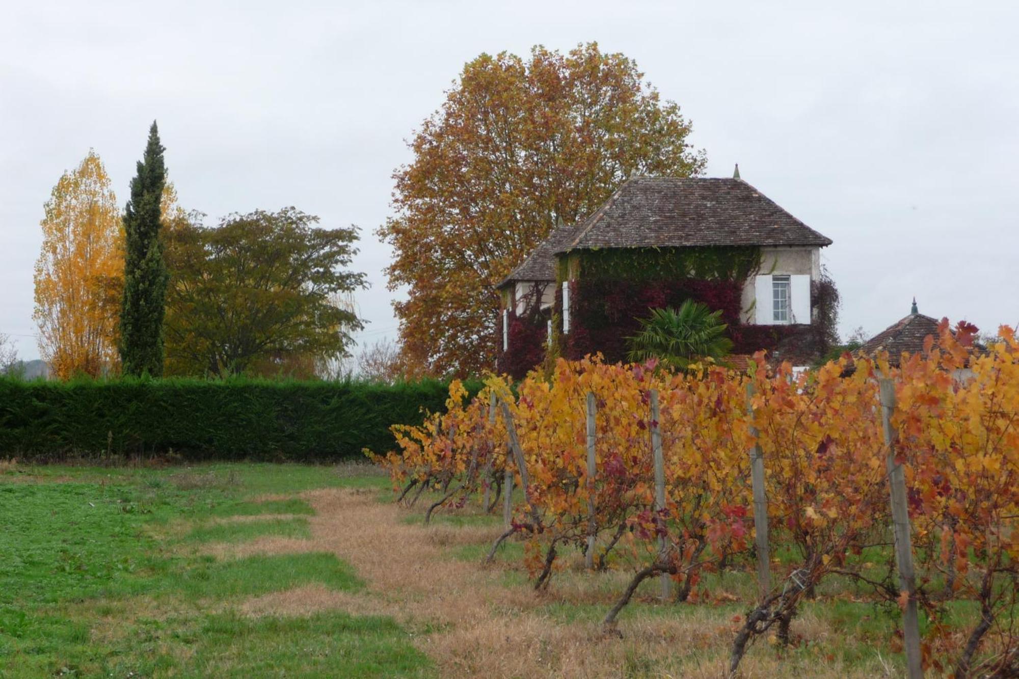 Domaine De La Queyssie Bed & Breakfast Saussignac Exterior photo