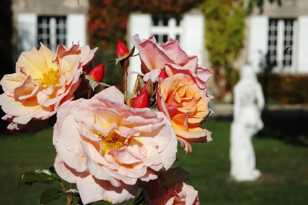 Domaine De La Queyssie Bed & Breakfast Saussignac Exterior photo